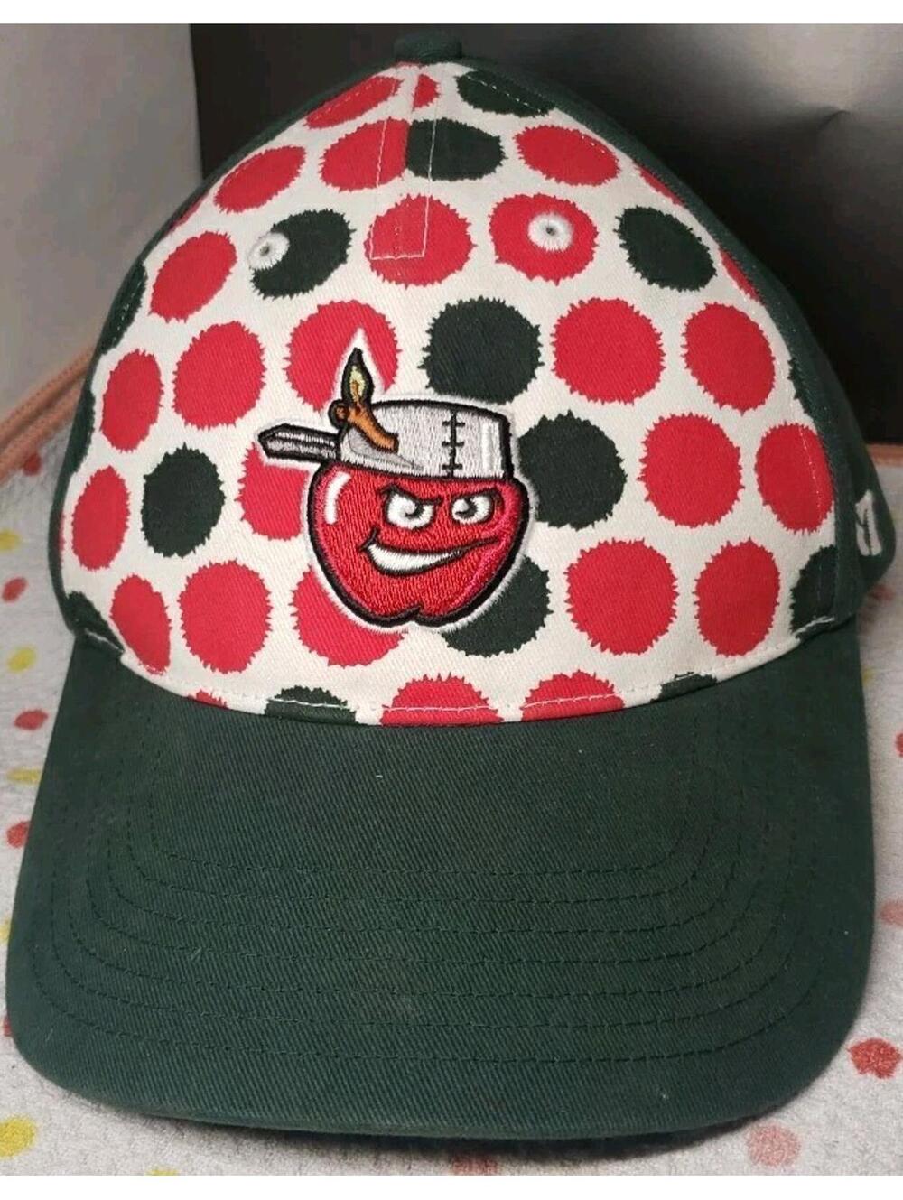 Fort Wayne TinCaps Youth MiLB OC Sports Strapback Adjustable Baseball Hat Multi
